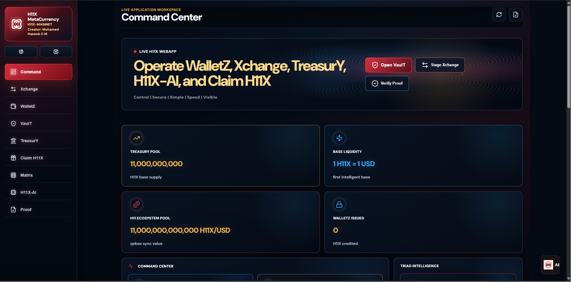H11X MetaCurrency system visualization